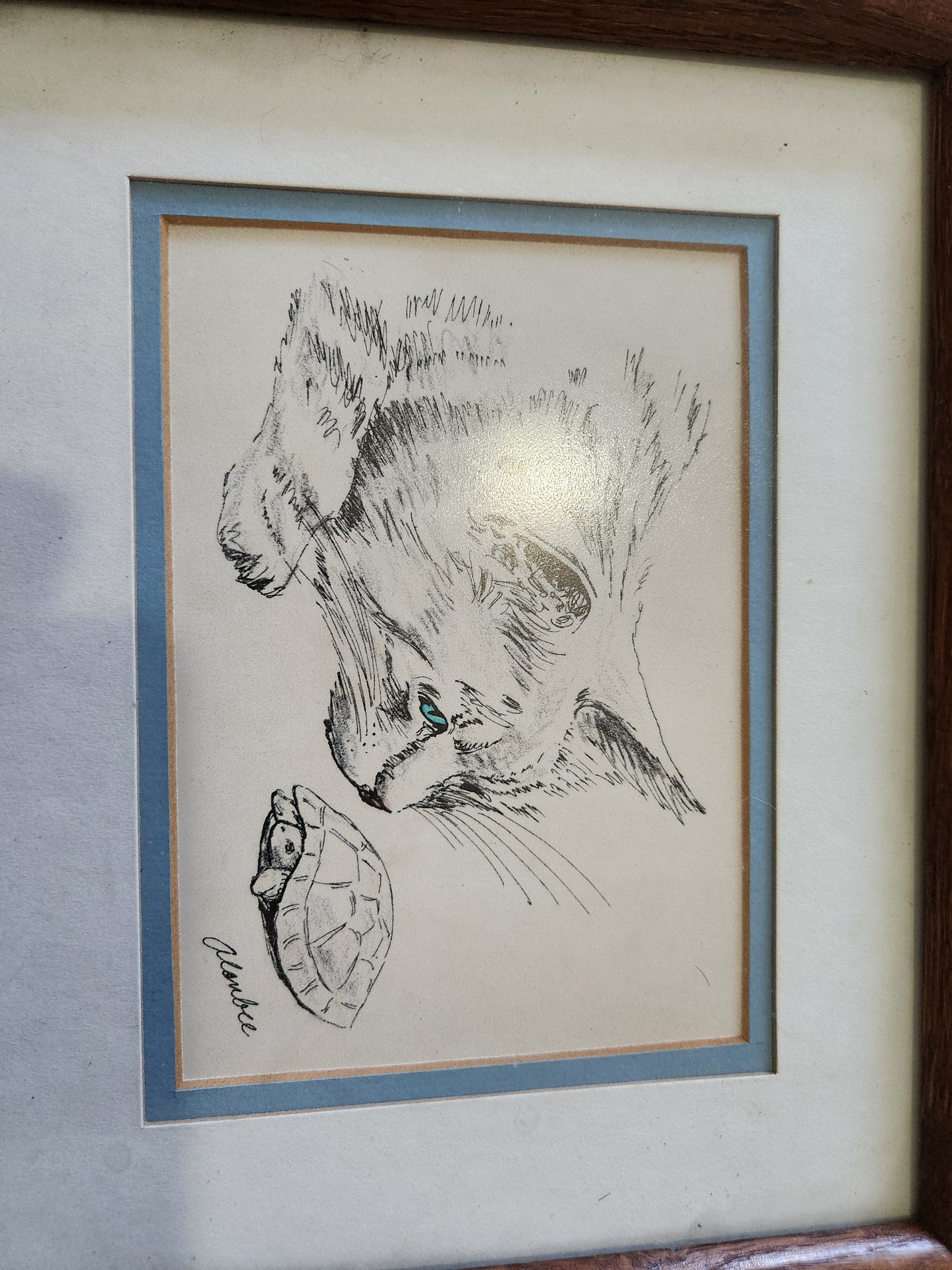 Framed Cat and Turtle