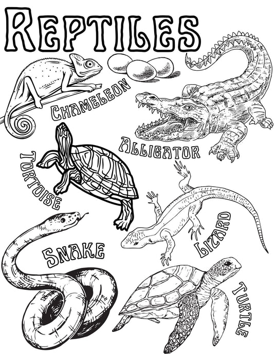 Reptiles coloring page