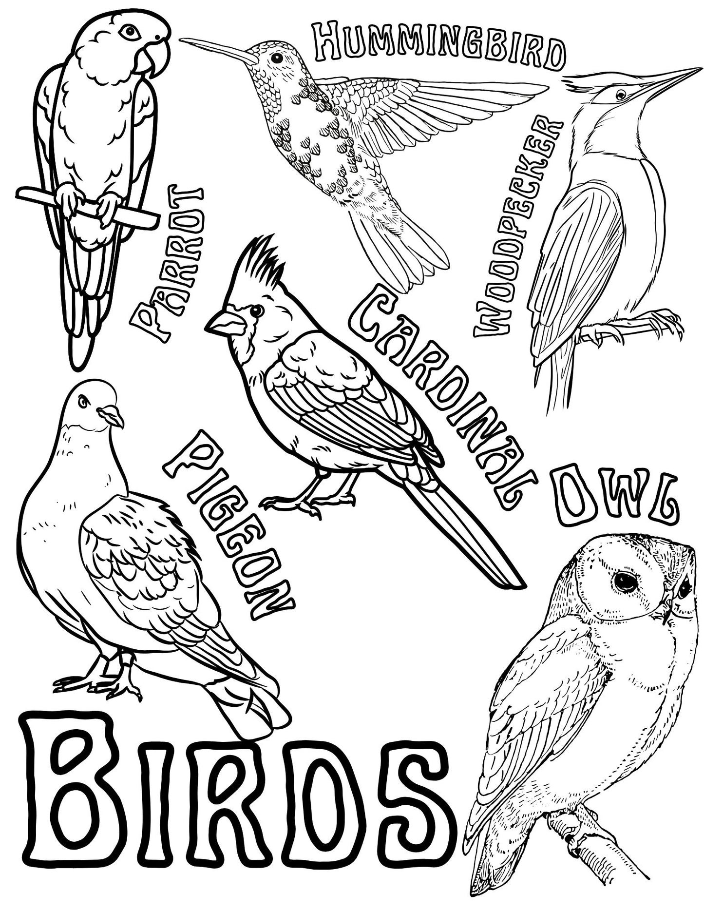 Birds coloring page