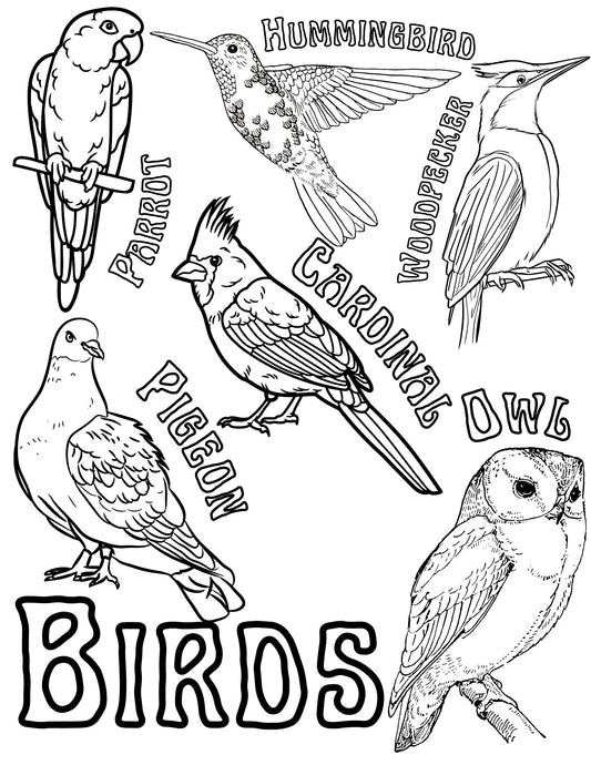 Birds coloring page